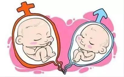 关于供卵代怀包生男孩机构